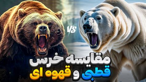 جنگ دیدنی خرس قطبی و گریزلی | خرس قطبی قدرتمنده یا گریزلی - YouTube