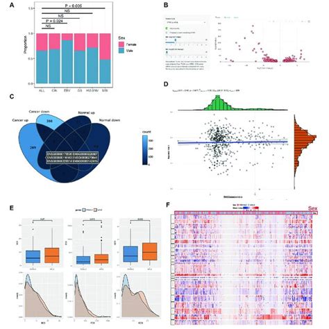 Molecular Differences Module A Sex Bias Of Molecular Subtypes B