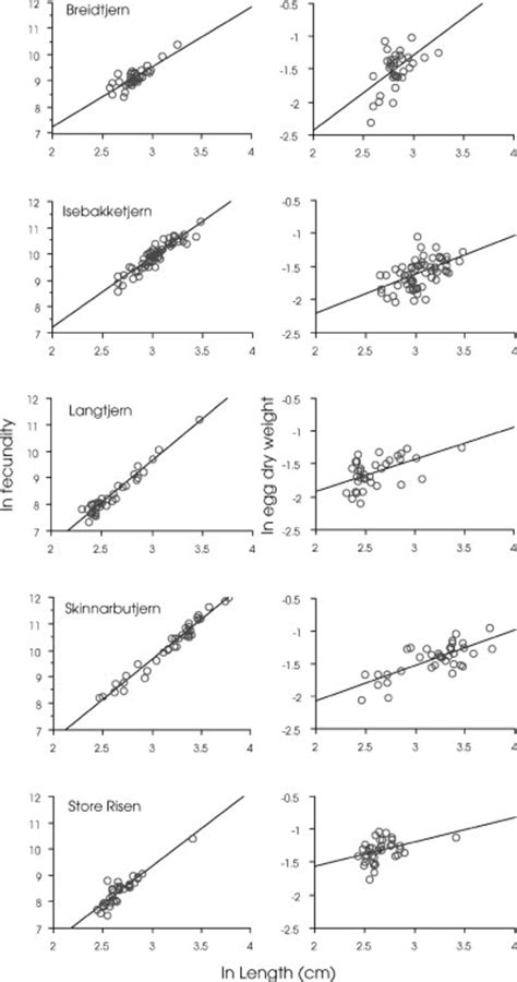 Relationship Between Perch Length Cm Ln Transformed Fecundity Ln