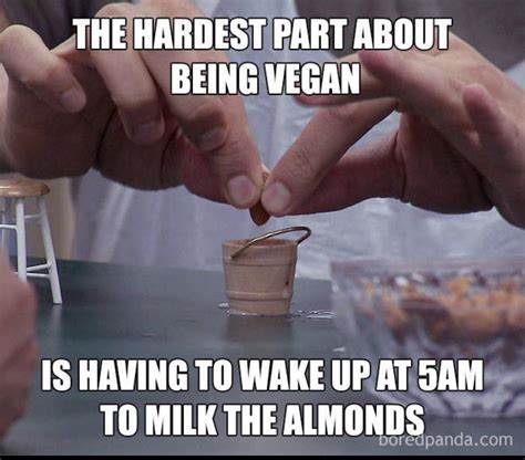 Milking Almonds R Memes