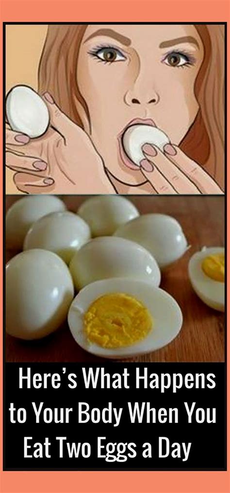 What Happens To Your Body If You Eat Two Eggs Per Day What Happened