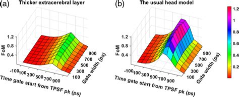 Optimization Of Time Domain Diffuse Correlation Spectroscopy Parameters