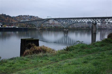 Ross Island Bridge from Springwater Trail | Ross island, Portland bridges, Island