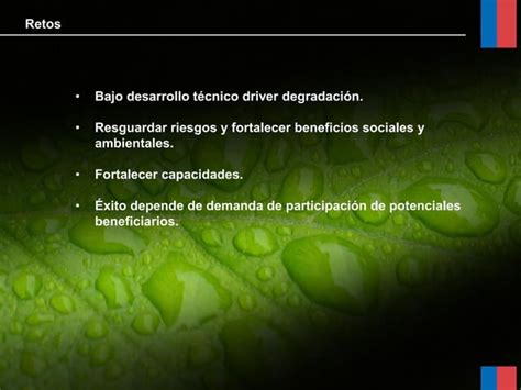 Estrategia Nacional de Bosques y Cambio Climático de Chile PPT