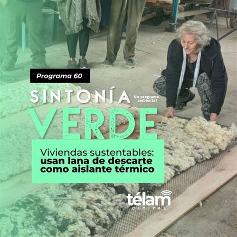 Viviendas Sustentables Usan Lana Como Aislante T Rmico From Sinton A