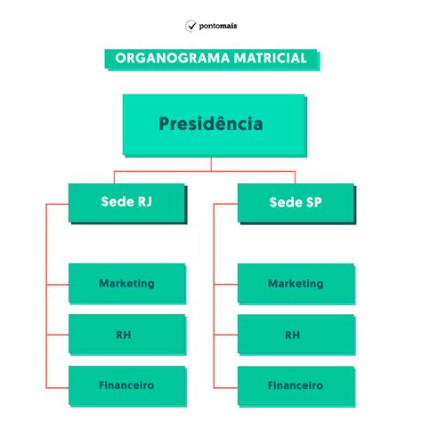 O Que é Organograma De Uma Empresa Quais Os Tipos E Como Aplicar