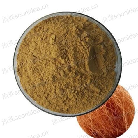 Zea Mays Corn Silk Extract