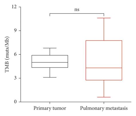 Comparison Of Gene Mutations Between Primary Tumors And Pulmonary