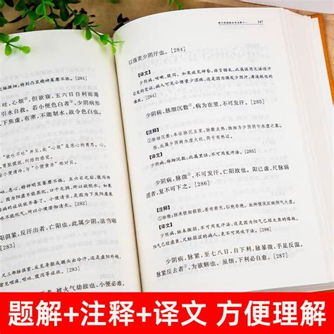 伤寒论张仲景正版原著中华经典名著全本全注全译丛书三全全集中医养生基础理论书籍大全医学全书知识自学入门零基础中华书局虎窝淘