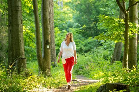 Blaubeer Route Deutschlands Sch Nste Wanderwege