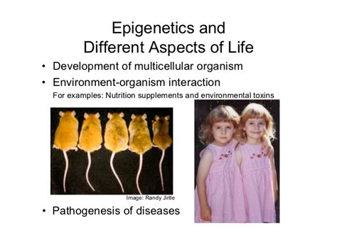 Epigenetics