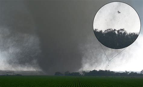 Tornado And Cow