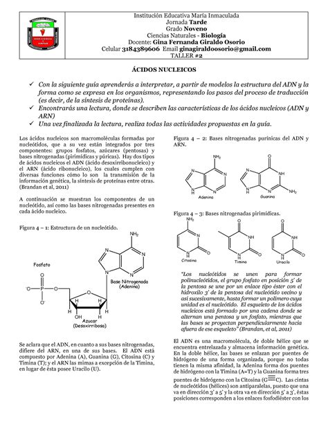 Ã Cidos Nucleicos 9Â° ¡cidos Nucleicos Con La Siguiente GuÌa Aprender