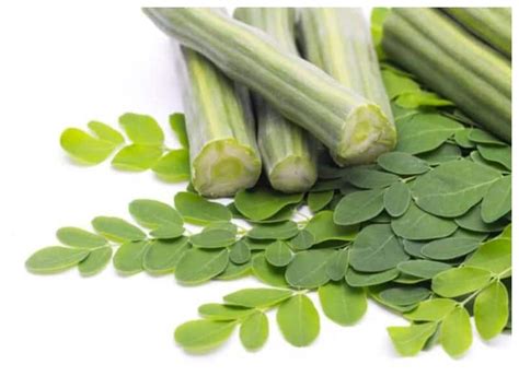 Health Benefits Of Drumstick Leaves Surprising Health Benefits Of The Drumstick Leaves दुनिया