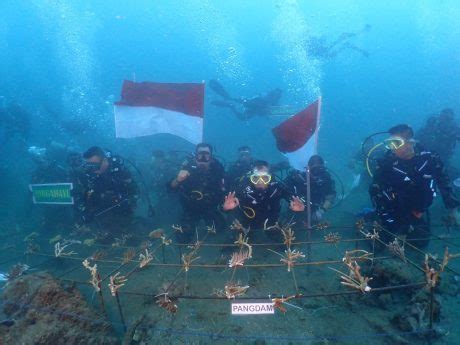 Jaga Kelestarian Laut Pangdam Pattimura Tanam Terumbu Karang Di Dalam