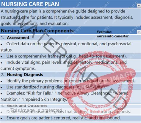 Nursing Care Plan Components Journey Of Nurse Begins Here