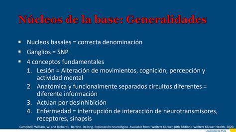 SOLUTION 13 Sistema Somatomotor Ii Anatomofisiolog A De Los N Cleos De