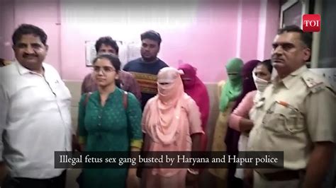 Police Burst Illegal Fetus Sex Test Gang In Bulandshahar City Times