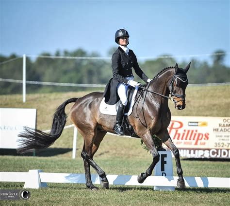 Fernhill By Night Eclipses The Field At Ocala Jockey Club International