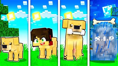 Ciclo De Vida De Um Cachorro No Minecraft Youtube