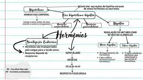 Mapa Mental Hormônios Fisiologia Homeostase Fisiológico