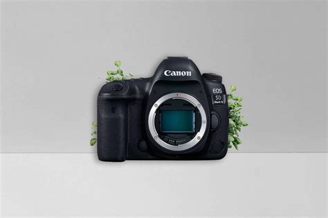 Canon 5D Mark IV for the Professional — add1tbsp