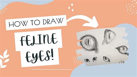 How To Draw Cat Eyes Draw Along Tutorial For Drawing A Range Of Feline