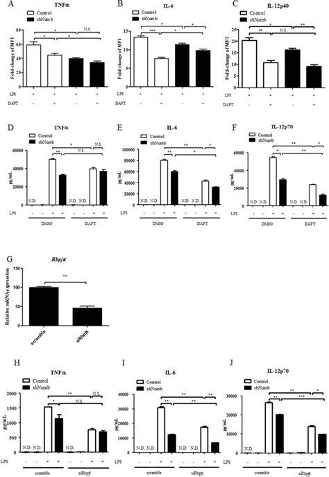 Expression Of Pro Inflammatory Cytokines In Macrophages Lacking Both