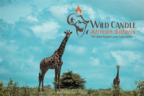 Unforgettable Tansania Safari And Mount Meru Hike Wild Candle African