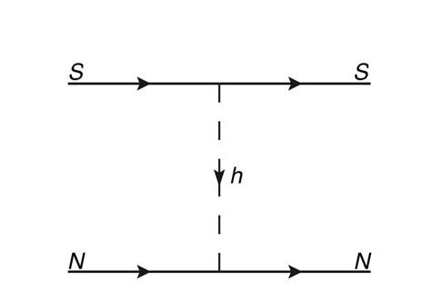 Feynman Diagram For The Elastic Spin Independent Scattering Cross