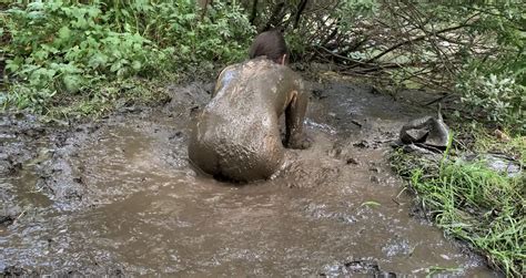 Mud Mud Mud 38 Nude Pics XHamster