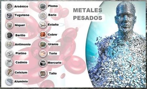 ¿qué Y Cuáles Son Los Metales Tóxicos Mundonets Co