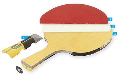 Cómo elegir tu raqueta o pala de ping pong