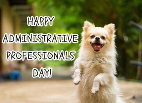 Admin Pro Day Wishes To Cheer Ur Free Happy Administrative