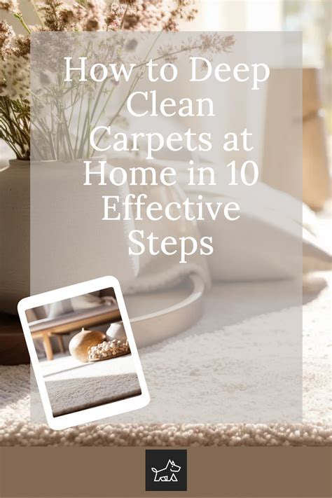 How To Deep Clean Carpets At Home In 10 Effective Steps How To Clean