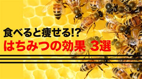 食べると痩せるのはなぜ？はちみつダイエットの効果｜頻度・量・種類｜中年の筋トレダイエット