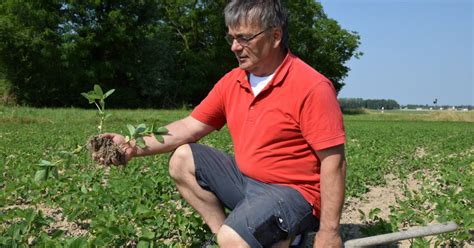 Un été avec lagriculteur Antoine Petitjean 4 6 Agriculture de