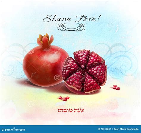 Shana Tova New Year Rosh Hashanah Red Pomegranates Watercolor Stock Illustration