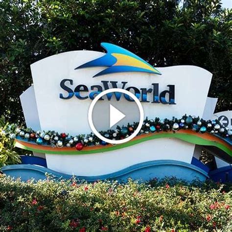 January - SEAWORLD ORLANDO - DISCOUNT Save Up To $67