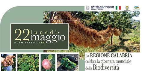 La Regione Calabria Celebra La Giornata Mondiale Della Biodiversit