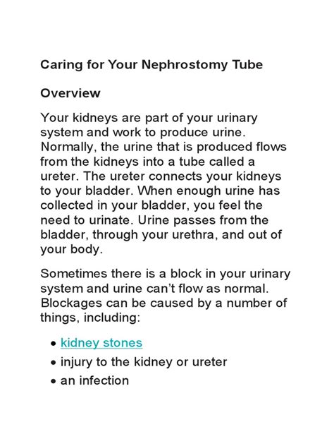 Caring For Your Nephrostomy Tube Kidney Stones Pdf Urinary System