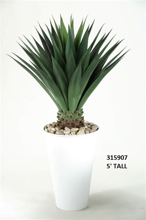 5 Large Agave Plant In White Round Metal Planter Dandw Silks