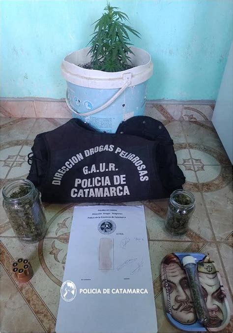 En Tinogasta Lo Buscaban Por Abuso Sexual Y Encontraron Marihuana La