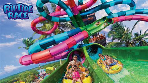 Aquatica Orlando Announces Brand New Water Experience 2020