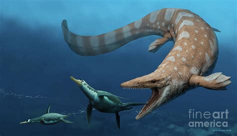 Tylosaurus Mosasaur And Prey By Jaime Chirinos Science Photo Library