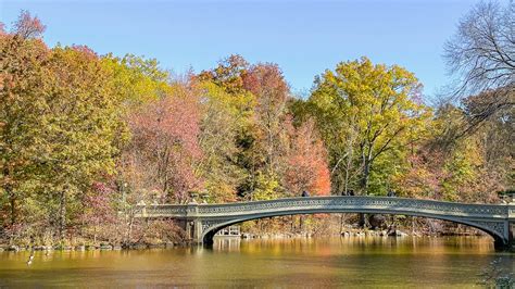 Roteiro Do Central Park Em Nova York Guia Completo Para Visitar