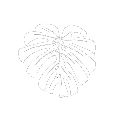 Monstera Leaf Svg Etsy