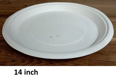 Inch Biodegradable Paper Plate At Rs Piece Biodegradable Paper