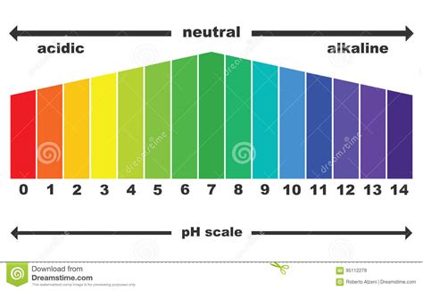 4º C y D BILINGUAL SUBJECTS Experiment 1 La Col Lombarda y el Ph