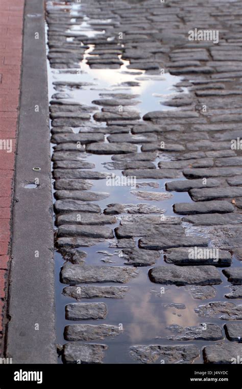 A Reflective Cobblestone Puddle On River Street Along The Famous